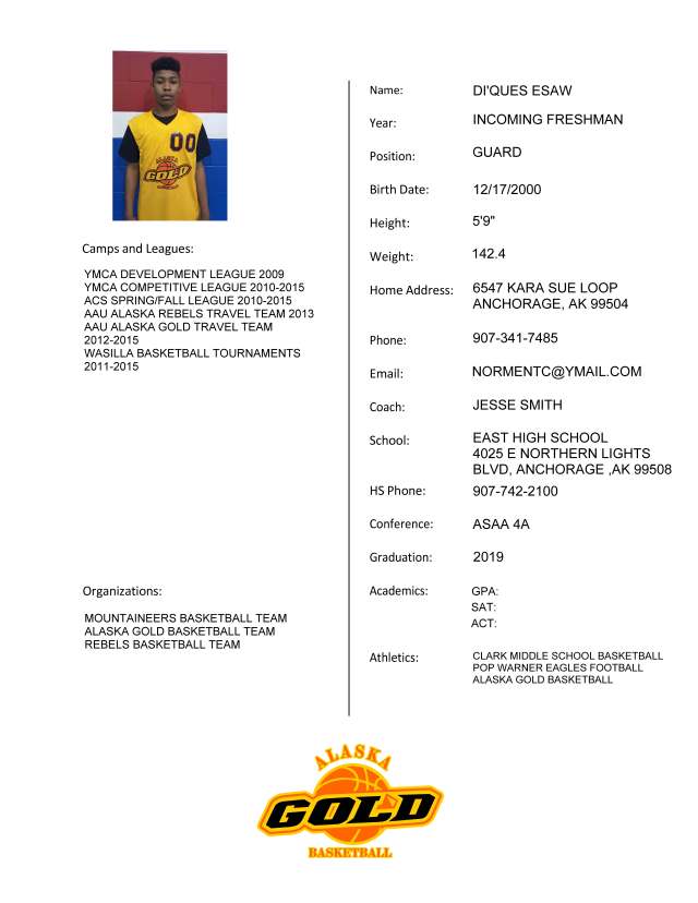 DIQUES Travel Player  Profile ESAW, D